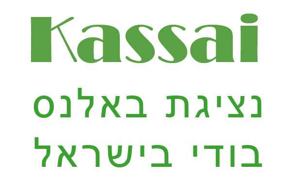 מתאמנים בסטודיו ספורטין